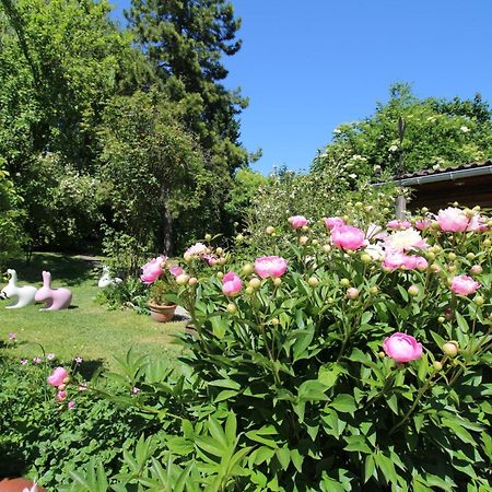 La Chaumiere Du Tordoir Bed & Breakfast Les Rues-des-Vignes Bagian luar foto