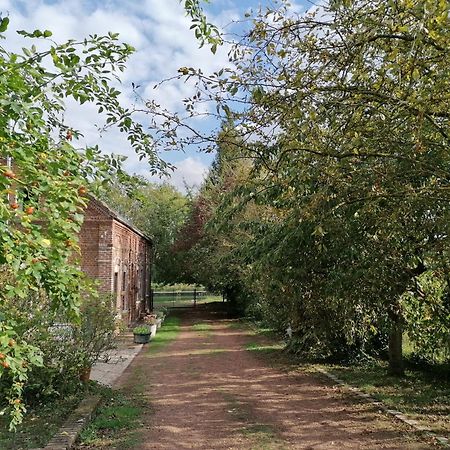 La Chaumiere Du Tordoir Bed & Breakfast Les Rues-des-Vignes Bagian luar foto