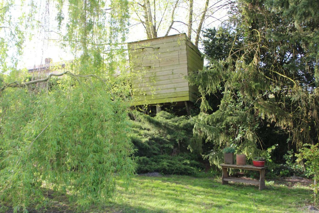 La Chaumiere Du Tordoir Bed & Breakfast Les Rues-des-Vignes Bagian luar foto